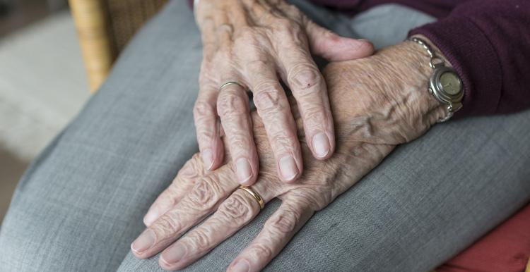 Close up image, elderly woman, Hands on lap