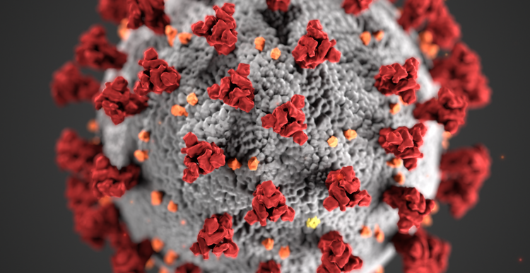 coronavirus covid 19