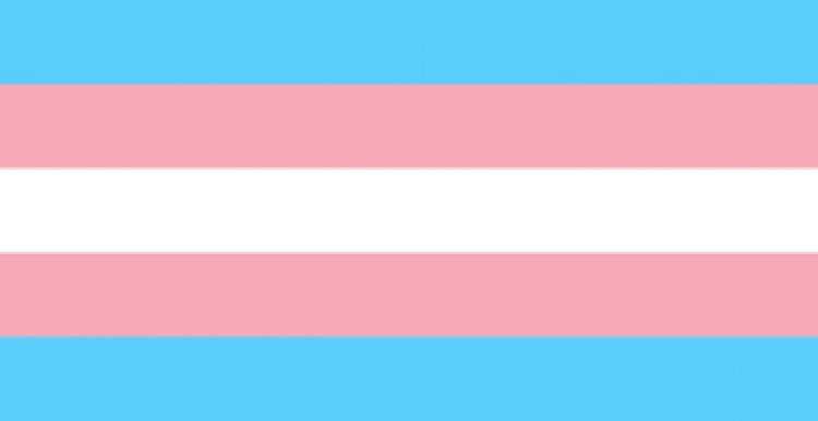 trans flag, horizontal stripes, pink, blue, white