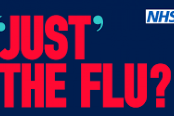 Just the Flu 