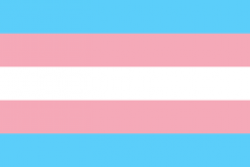 trans flag, horizontal stripes, pink, blue, white