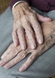 Close up image, elderly woman, Hands on lap